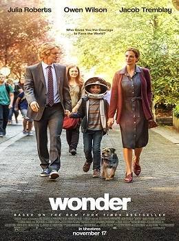 466388-wonder