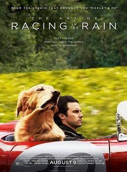 the-art-of-racing-in-the-rain-2019